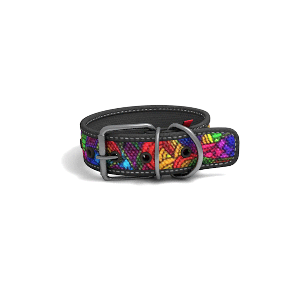 Collar Perro Cool Can Collar Perro Cool Can
